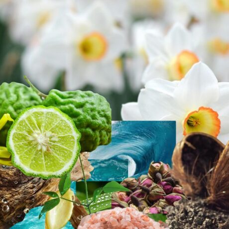 Refined And Sensorial Interpretation Of The Iconic Fragrance Oil