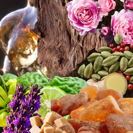 Luxury Fresh Citrus Woody Concentrated Fragrance Oil