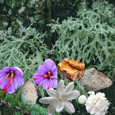 Oriental Floral fragrance Oil for women and men