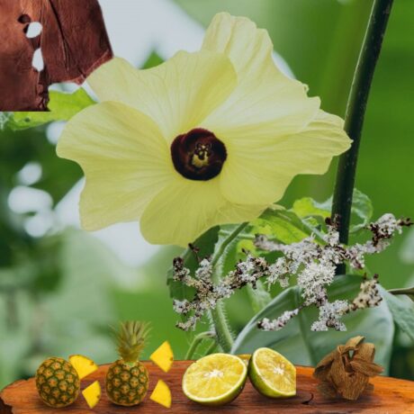 Sophisticated Green Woody