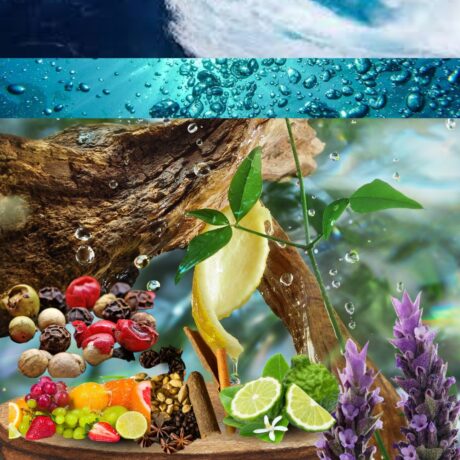 Aquatic Vibrant Fragrance Oil For Unisex