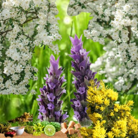 Romantic Floral Fragrance Oil For Women