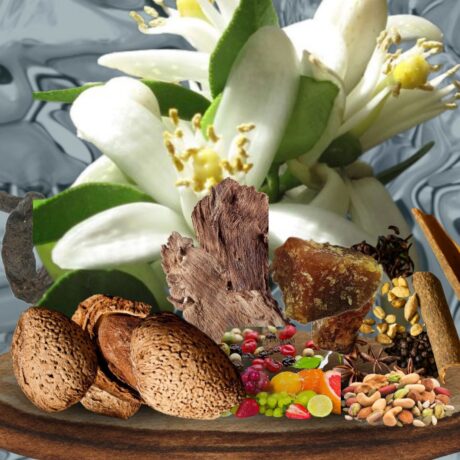 Rouge Mystique Extrait Limited Edition Unisex Perfume Oil