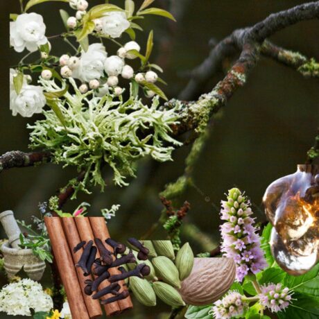 Deep Sensual & Timelessly Elegant Fragrance Oil