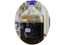 Pure natural Oud Oil