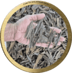 Malaysia Sufi Agarwood